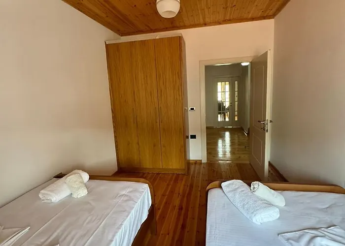 Central Apartment Gjirokaster 公寓 *