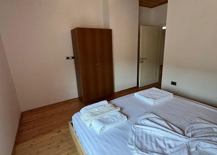 Central Apartment Gjirokaster 公寓 *